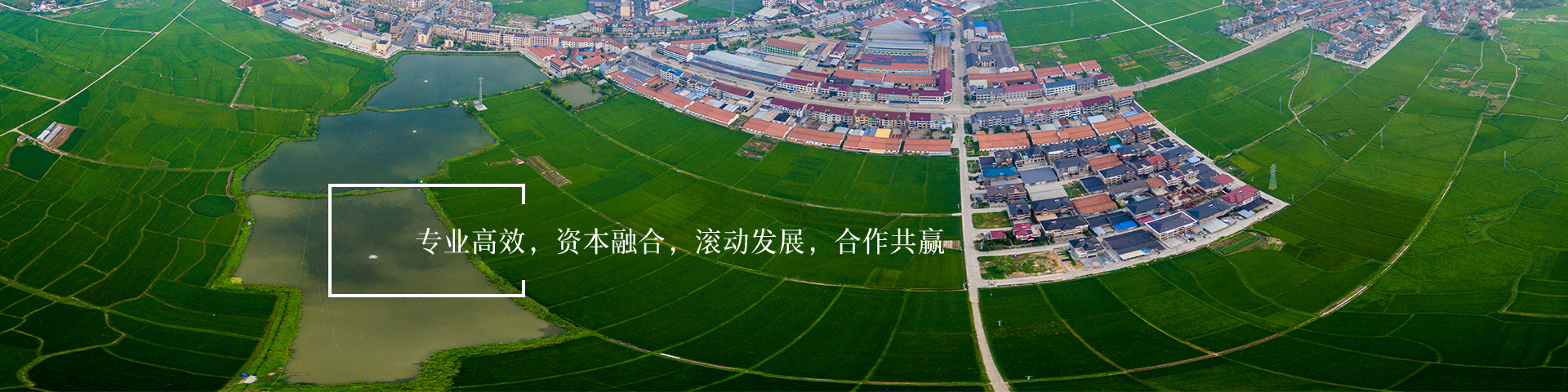 淄博市土地發展集團有限公司